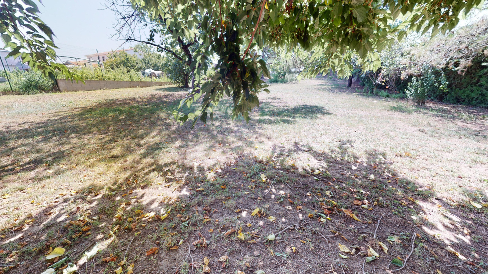 Image_1, Terrain, Grenade, ref :1112241284