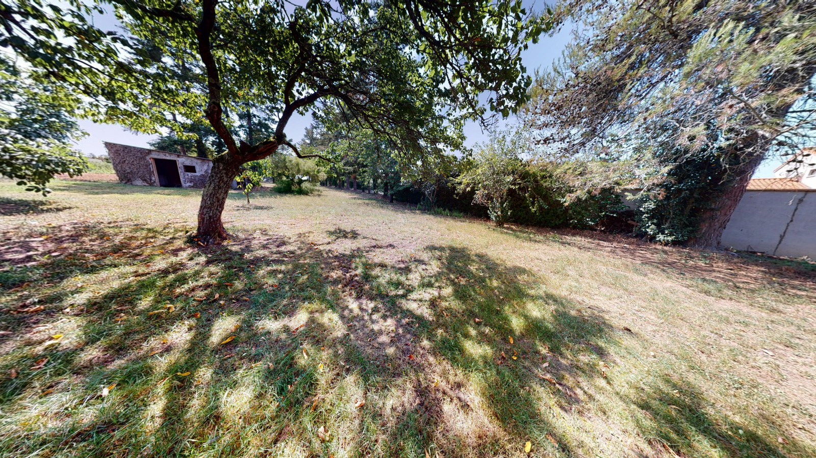 Image_3, Terrain, Grenade, ref :1112241284