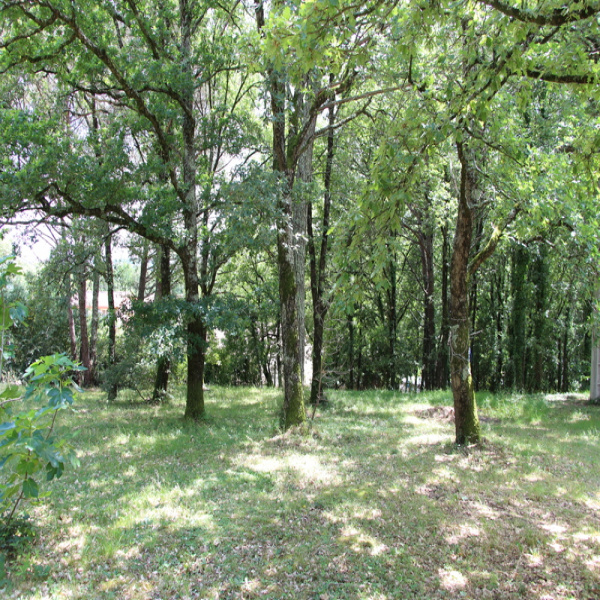 Offres de vente Terrain Menville 31530