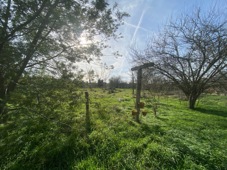 biens/1/caa8caf52c59dcf345ea3f204b59fafb/photo_10f3d6efb16d7010c5799f037805c65a.jpg