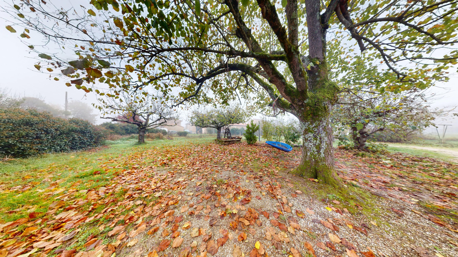 Image_9, Maison, Orgueil, ref :0801261368