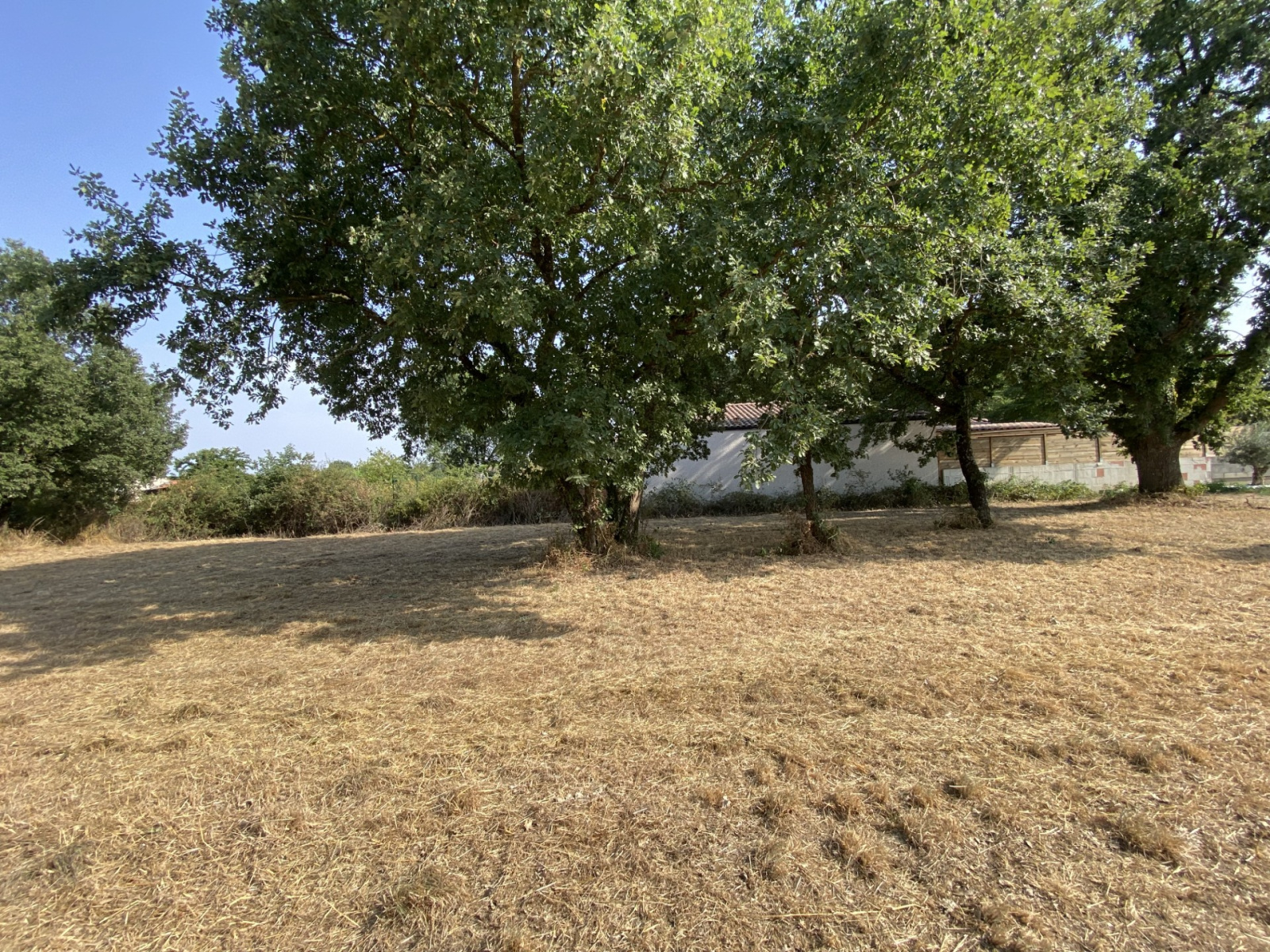 Image_5, Terrain, Larra, ref :2707261405