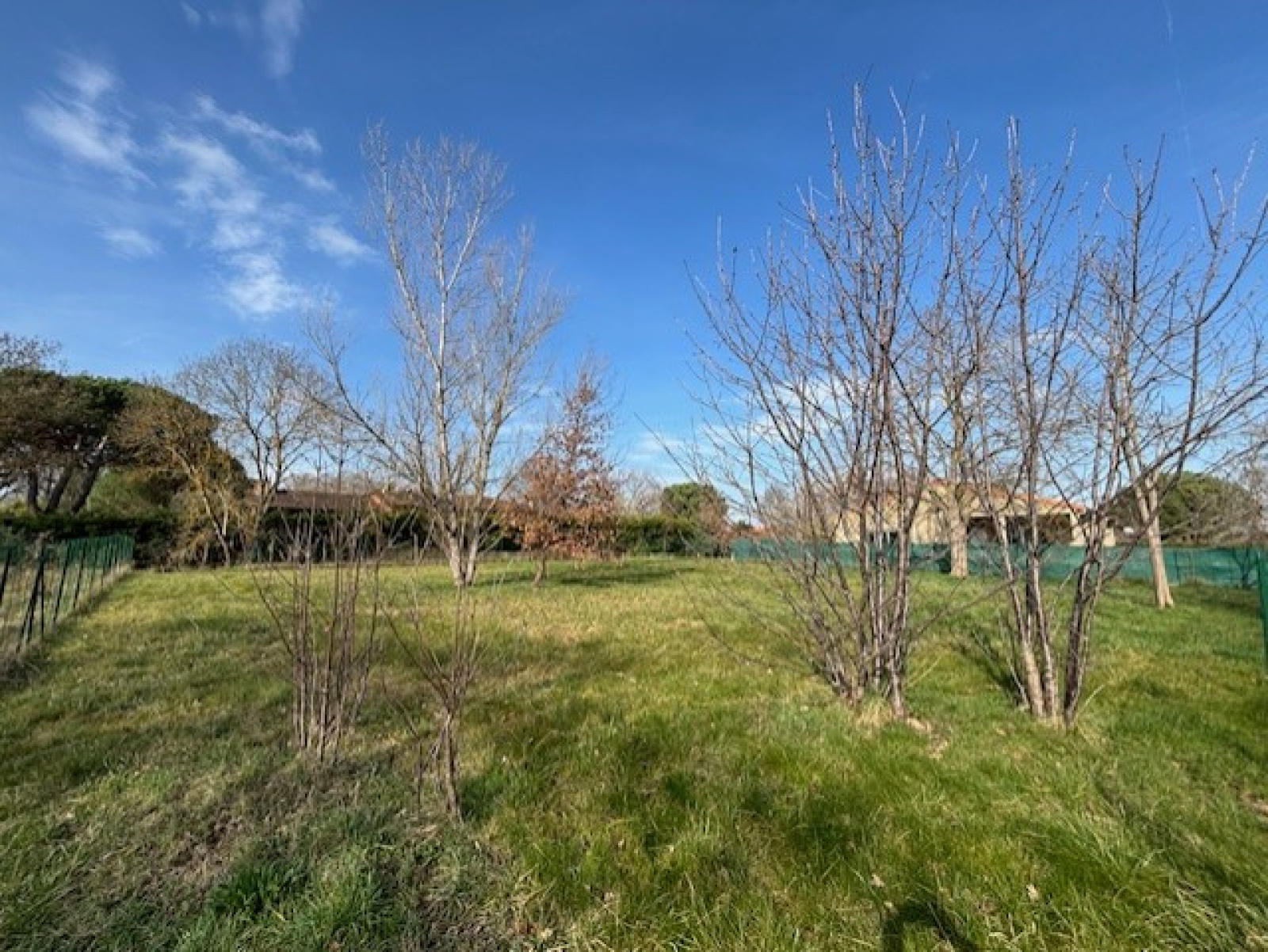 Image_2, Terrain, Launac, ref :1296