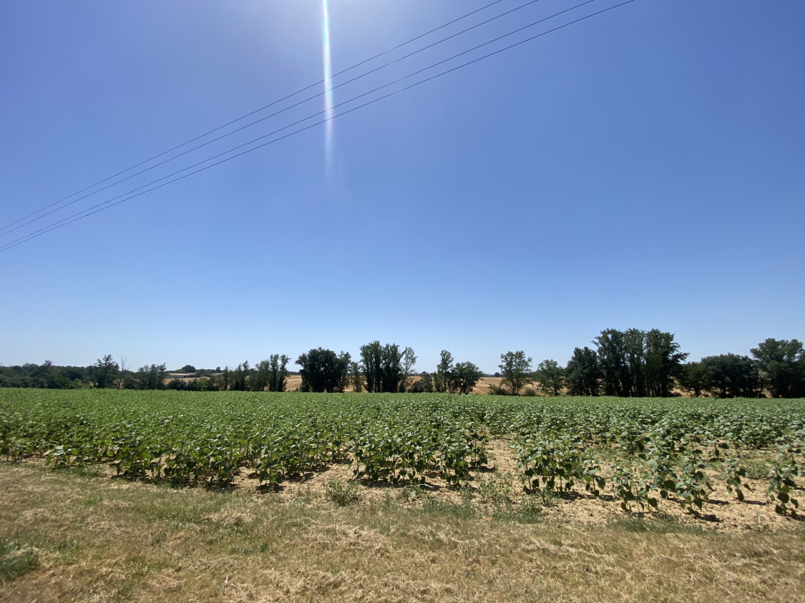 Image_5, Ferme, Launac, ref :1206261397