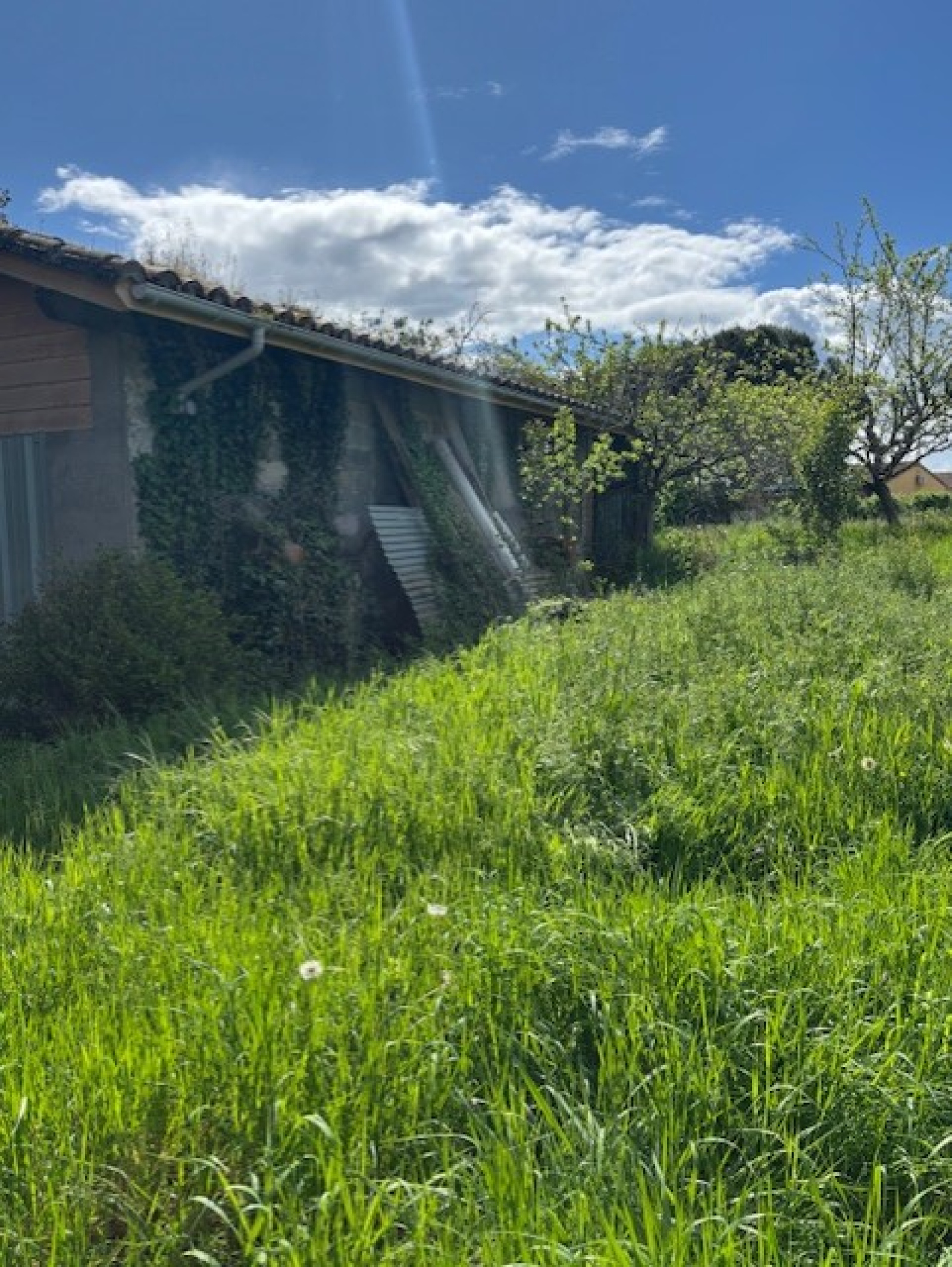 Image_8, Terrain, Le Burgaud, ref :1309