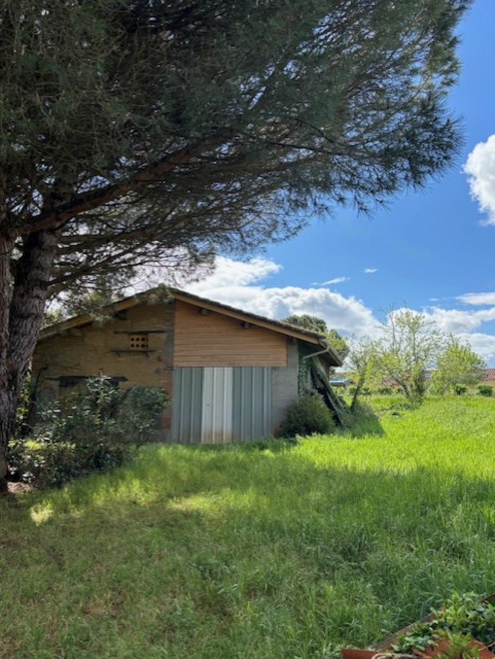 Image_1, Terrain, Le Burgaud, ref :1309