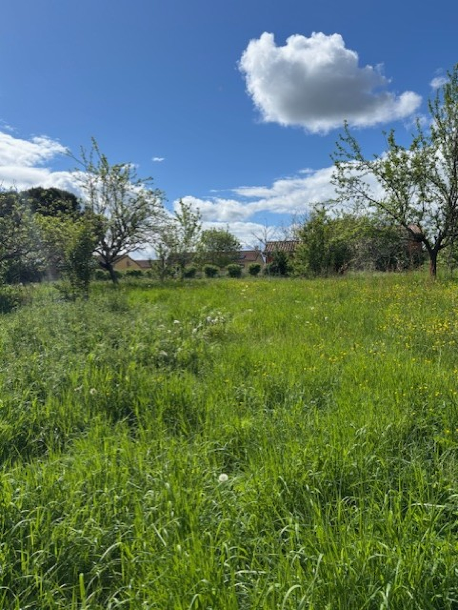 Image_3, Terrain, Le Burgaud, ref :1309