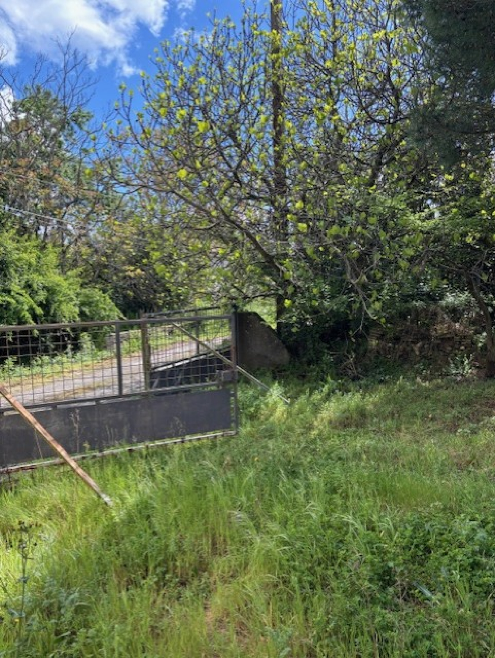 Image_14, Terrain, Le Burgaud, ref :1309