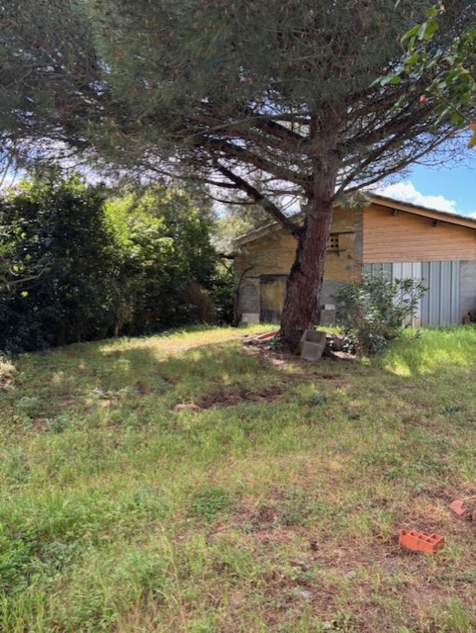 Image_16, Terrain, Le Burgaud, ref :1309