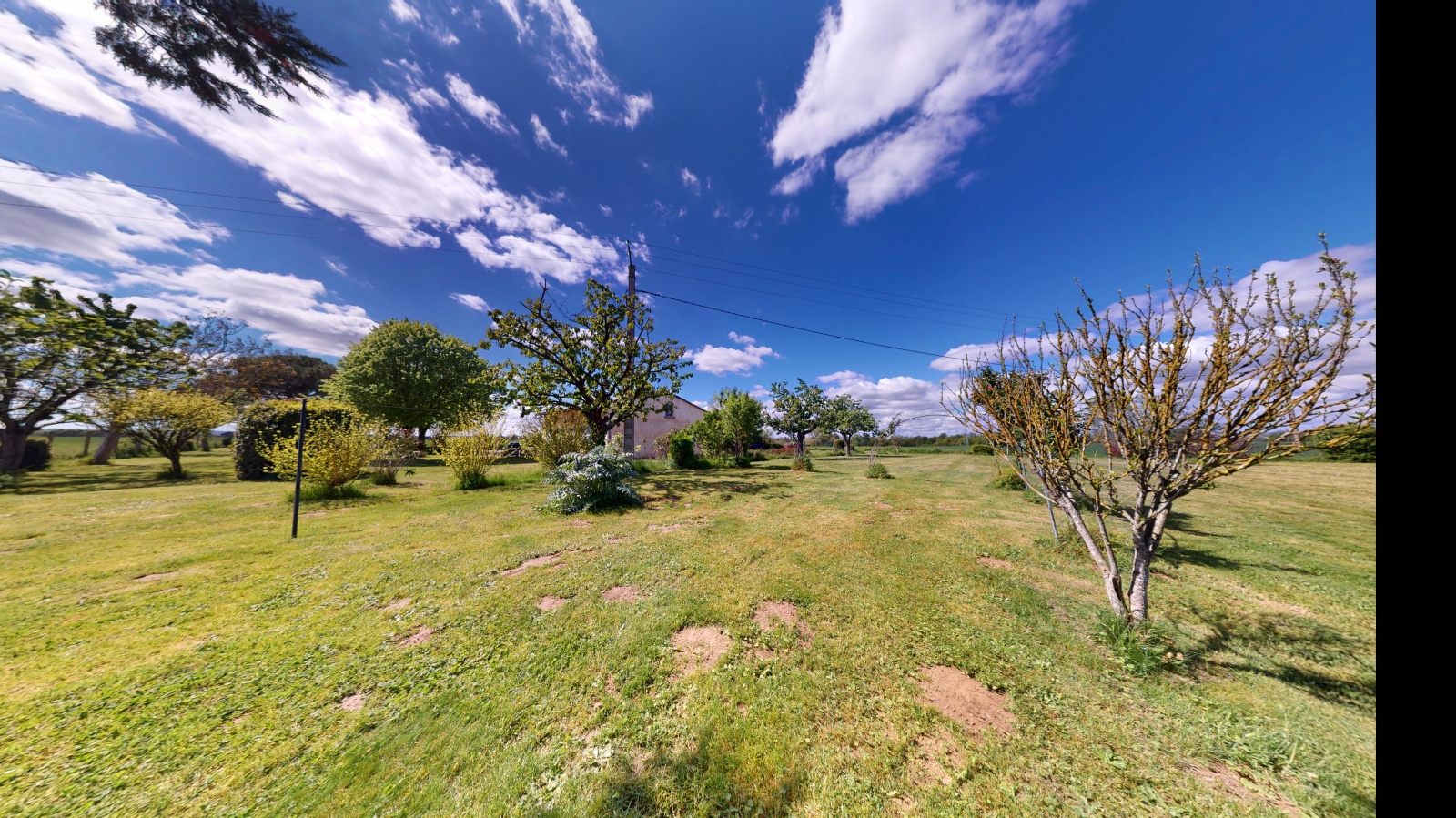 Image_11, Maison, Saint-Cézert, ref :2104261383