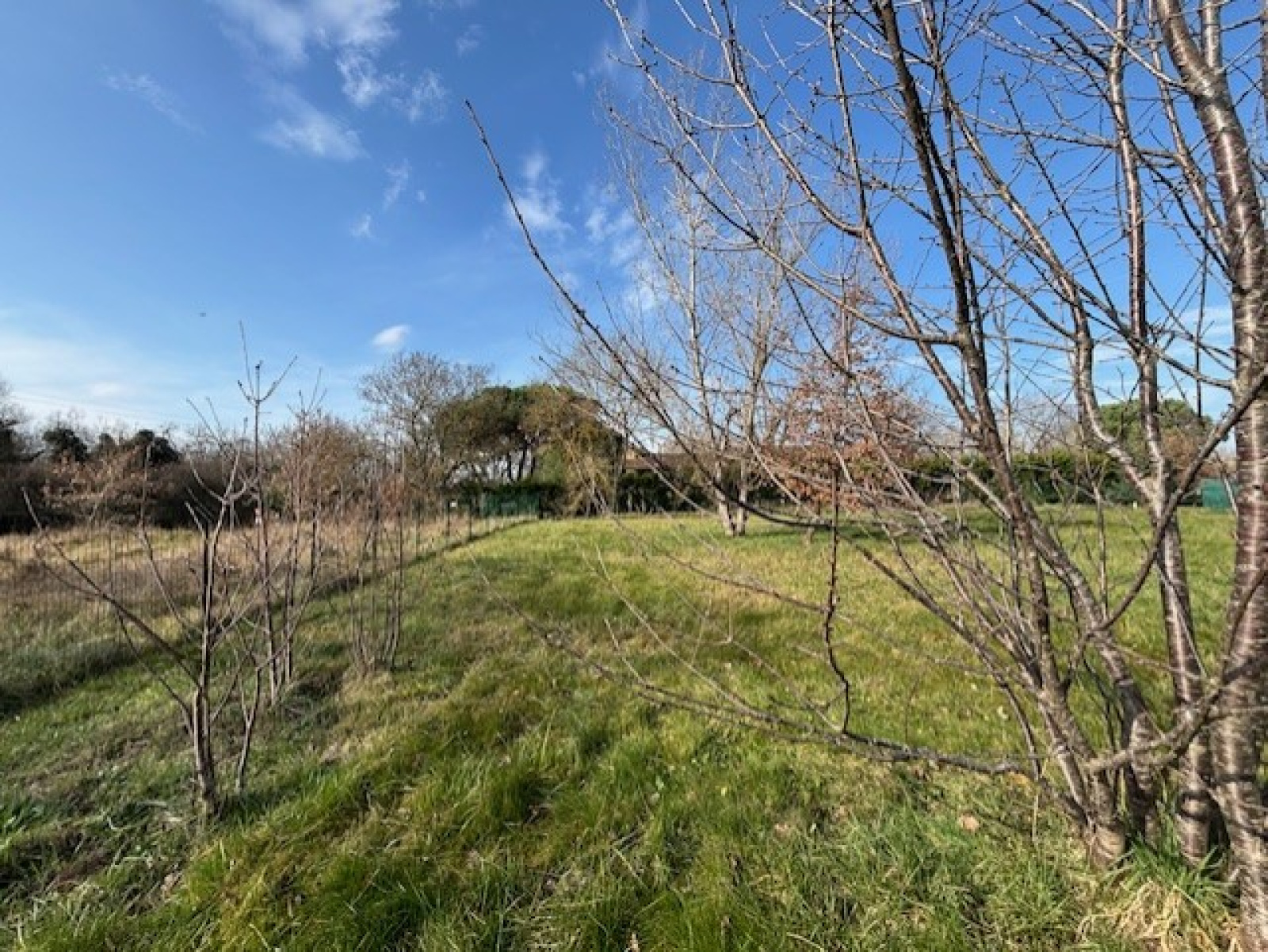 Image_3, Terrain, Launac, ref :140420261336