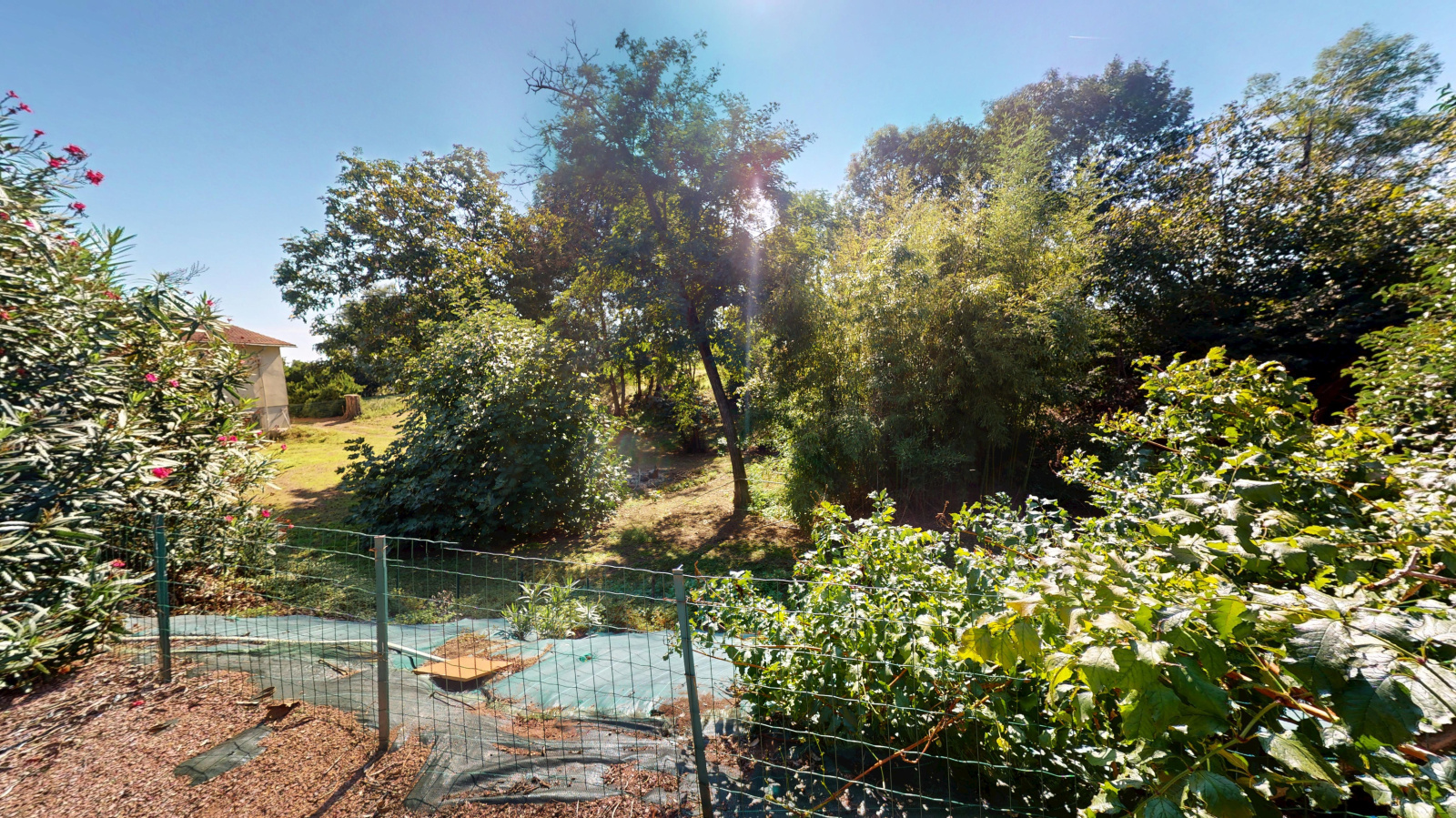 Image_17, Ferme, Grenade, ref :190920251348