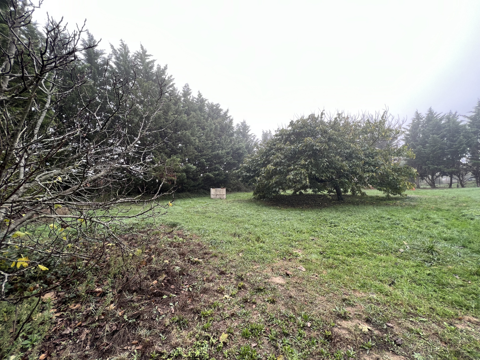 Image_4, Terrain, Larra, ref :0604231122