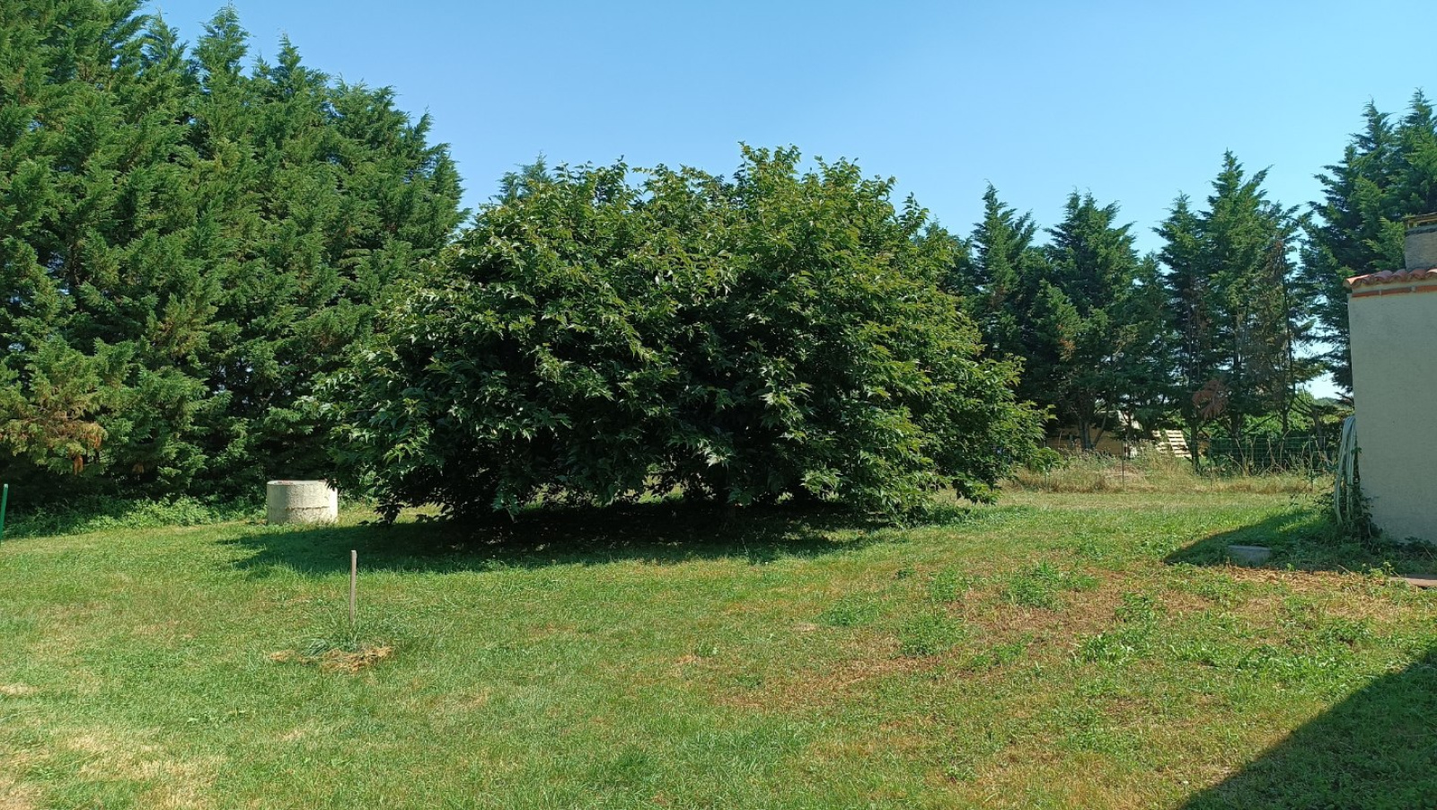 Image_2, Terrain, Larra, ref :0604231122