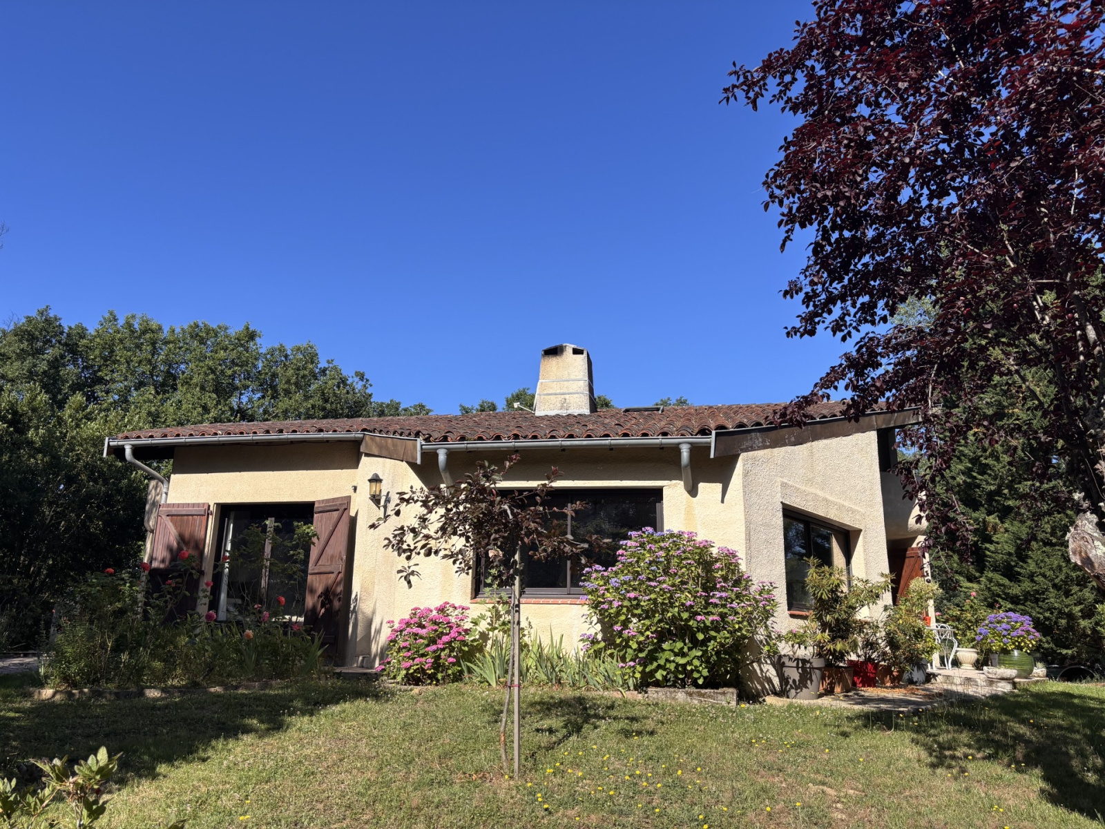 Image_4, Maison, Drudas, ref :110620261396
