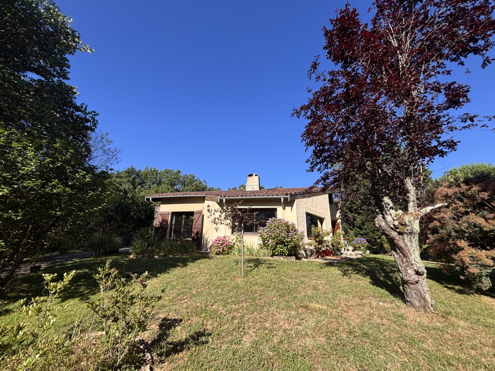 Image_26, Maison, Drudas, ref :110620261396