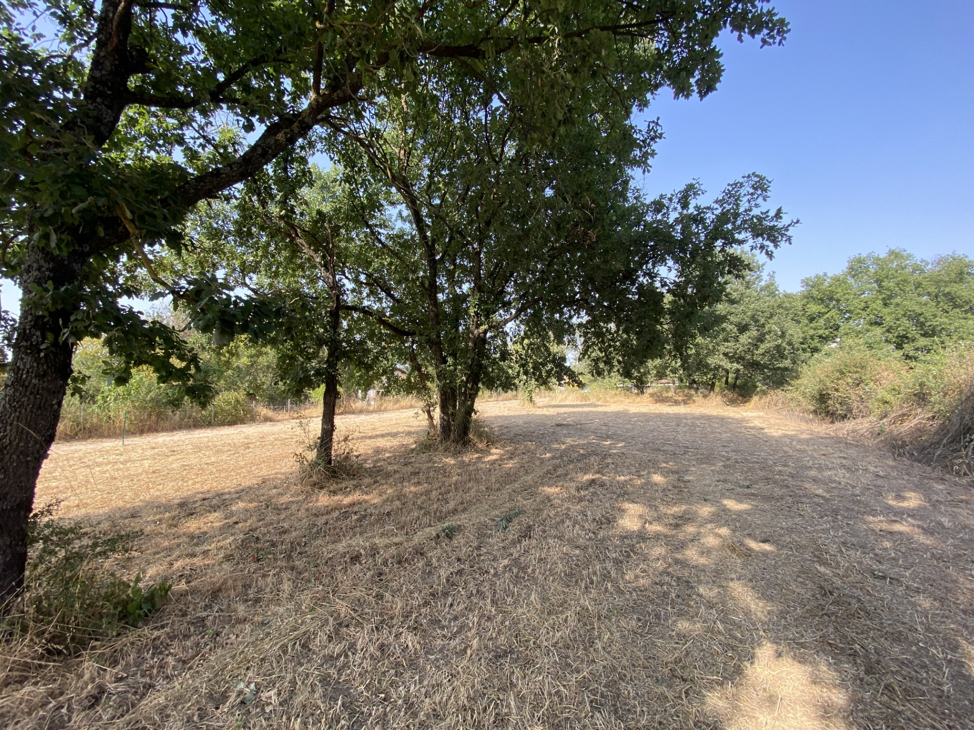 Terrain constructible à vendre Larra (31) 1 066 m2